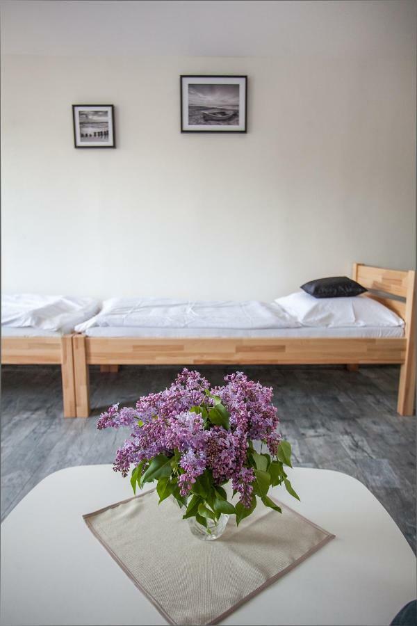 Ubytovani Rozmberk Nad Vltavou 18 ภายนอก รูปภาพ
